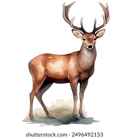 Watercolor vector of deer, isolated on a white background ,deer vector, drawing clipart, Illustration Vector, Graphic Painting, design art, logo