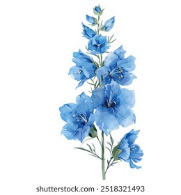 Aquarell-Vektor der Delphinium-Blume einzeln auf weißem Hintergrund, Delphinium-Blumengemälde