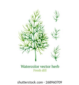 Watercolor Vector Dill