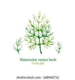 Watercolor Vector Dill