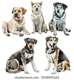 Watercolor vector of Dog collection, isolated on a white background, Dog painting