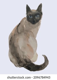 Watercolor vector drawing of domestic purebred siamese cat