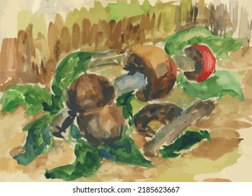 Watercolor vector drawing of fresh mushrooms from forest