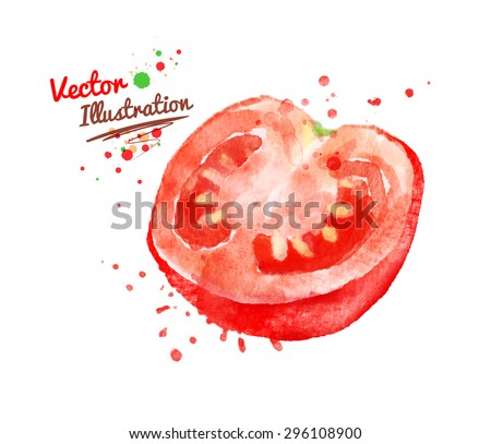 Watercolor vector drawing of half of tomato with paint splashes.