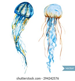 watercolor vector drawing jellyfish, jellyfish beautiful blue, isolated object