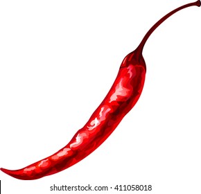 Watercolor Vector Drawing Of Red Chili Pepper.
