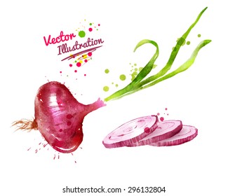 Watercolor vector drawing of red onion with paint splashes.