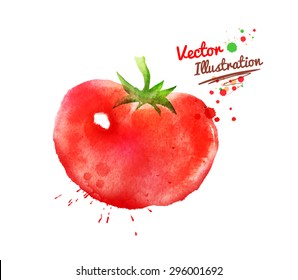 Watercolor vector drawing of tomato with paint splashes.