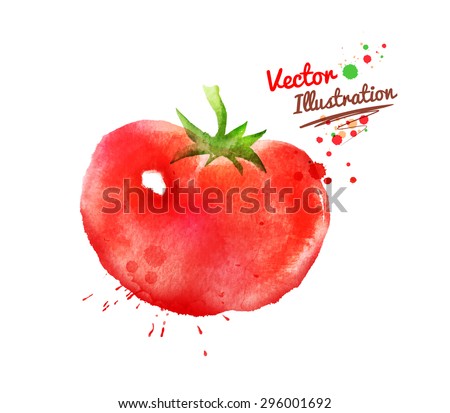 Watercolor vector drawing of tomato with paint splashes.