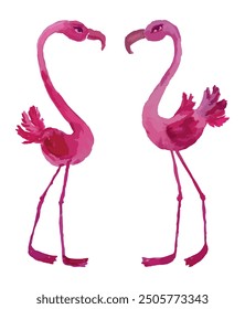 Watercolor vector drawing of two cartoon tropical pink flamingos birds, hand drawn illustration isolated on white