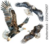 Watercolor vector of Eagle collection, isolated on a white background, Eagle painting