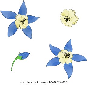 Watercolor vector elements of flowers collection. Botanic illustration isolated. 