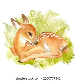 Watercolor vector of fawn on green forest background. Cute baby deer.