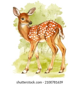 Watercolor vector of fawn on green forest background. Cute baby deer.