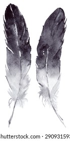 Watercolor vector feather pair set isolated