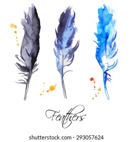 Watercolor vector feathers. Isolated. Boho