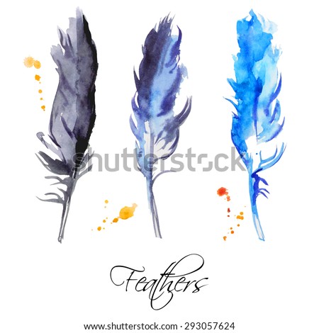 Watercolor vector feathers. Isolated. Boho