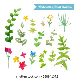 Watercolor vector floral elements. Hand drawn flowers, leaves. Isolated.