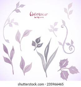 Watercolor vector floral set