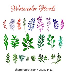Watercolor vector floral set. Colorful floral collection with leaves and branches. Spring or summer design for invitation, wedding or greeting cards