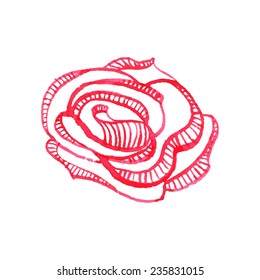 Watercolor Vector  Flower