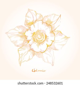 Watercolor vector flower