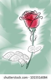 Watercolor Vector Flower Illustration. red rose
