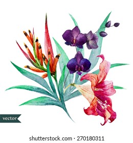 watercolor, vector, flower, lily, botany, palm leaves, orchids, birds of paradise,