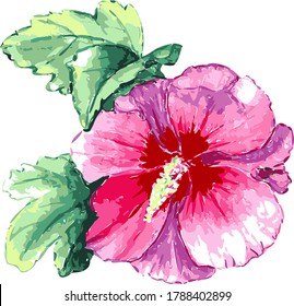 Watercolor vector flower. Pink, with leaves. Hand drawing