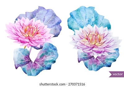 watercolor, vector, , flowers, leaves,  lotus 