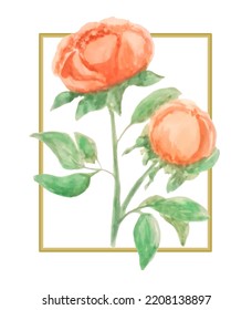 Watercolor Vector Flowers. Painted Watercolor Florals. Peony beige or cream color. Isolated element on a white background.