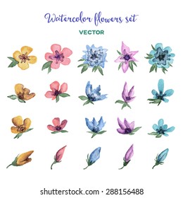 Watercolor vector flowers set. Postcard design elements.