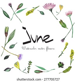 Watercolor vector frame with flowers, floral set. Summer floral collection with leaves and flowers drawing watercolor. Design for invitation, wedding or greeting cards.
