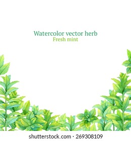 Watercolor vector frame with fresh mint