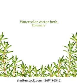 Watercolor Vector Frame With Rosemary