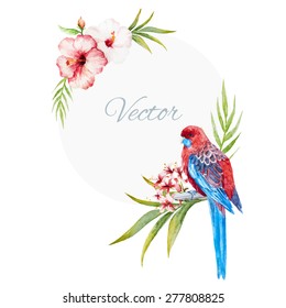 watercolor vector frame with tropical leaves, hibiscus flowers and a parrot Rosella