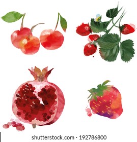 watercolor vector fruit set