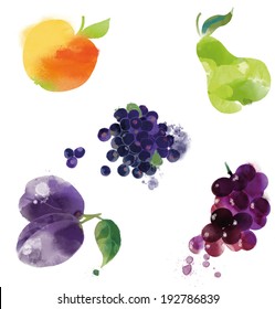 watercolor vector fruit set