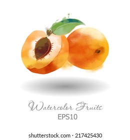 Watercolor vector fruits. Apricot