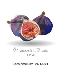 Watercolor Vector Fruits. Fig