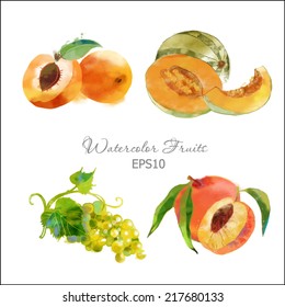 Watercolor vector fruits set of melon, grape, apricot and peach