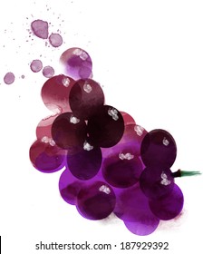 Watercolor Vector Grapes