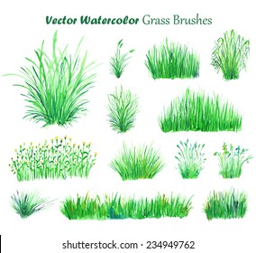 Watercolor Vector Green Grass Illustration