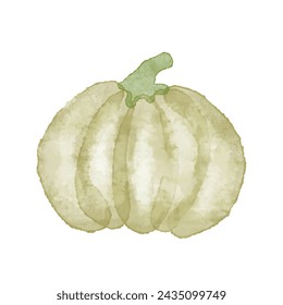 Watercolor vector green pumpkin, autumn vegetable harvest isolated on white background