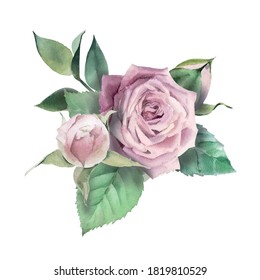 Watercolor vector hand drawn green leaves and rose flower bouquet.