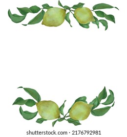 Watercolor vector hand drawn ornament, poster, postcard, invitation, border, design with lemons and leaves