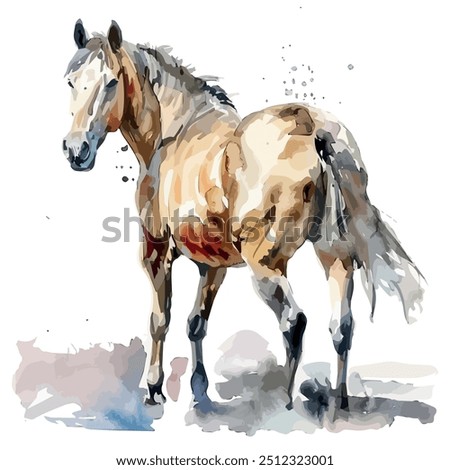 Watercolor vector of Horse, isolated on a white background, Horse vector