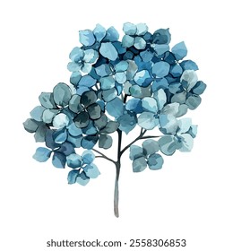 Watercolor vector of Hydrangea flower, isolated on a white background, Hydrangea painting