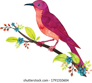 Watercolor vector illustration of a bird on branch.