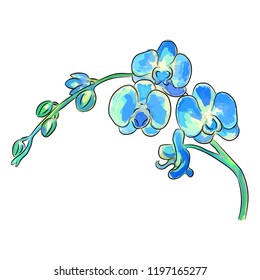 The watercolor vector illustration of blue orchid flowers. This illustration will be good to use as a print for apparel and in other design projects.